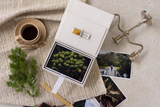 4 x 6 Linen flip photo box